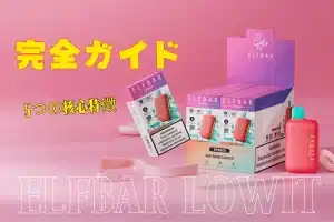 ELFBAR Lowit完全使用ガイド