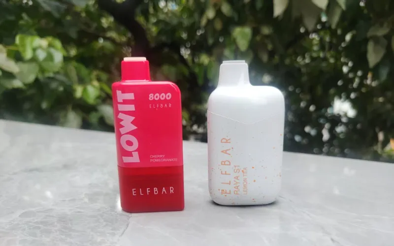 Elfbarとは?| 5つの特徴からその魅力を徹底解説 | Elfbar Japan通販店 左:Lowit キット 右:Raya S1